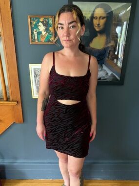 ✨ Lulus Black & Burgundy Velvet Zebra Print Cutout Mini Dress ✨